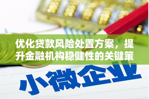 盐池优化贷款风险处置方案，提升金融机构稳健性的关键策略
