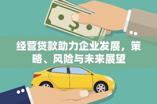 盐池经营贷款助力企业发展，策略、风险与未来展望