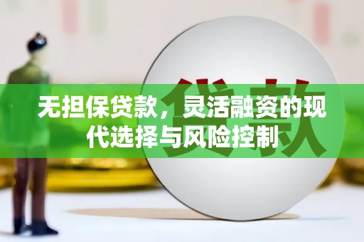 盐池无担保贷款，灵活融资的现代选择与风险控制