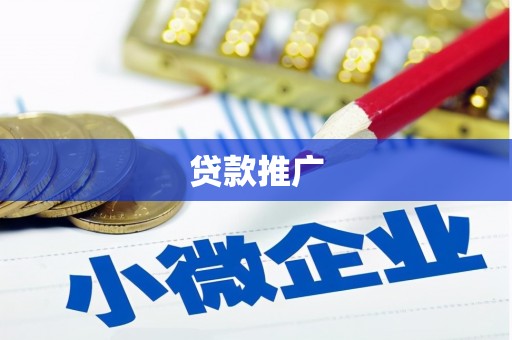 盐池贷款推广