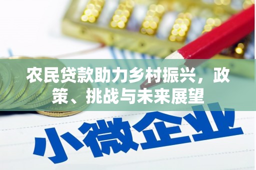 盐池农民贷款助力乡村振兴，政策、挑战与未来展望