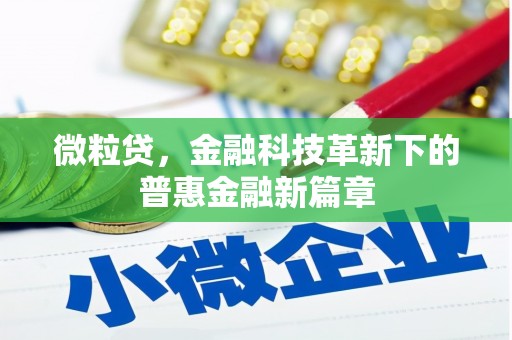 盐池微粒贷，金融科技革新下的普惠金融新篇章