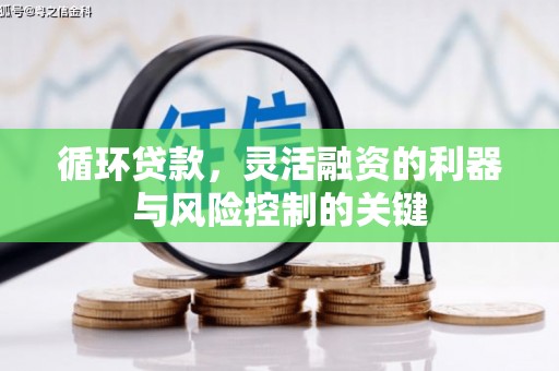 盐池循环贷款，灵活融资的利器与风险控制的关键