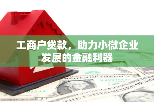 盐池工商户贷款，助力小微企业发展的金融利器