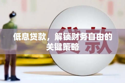 盐池低息贷款，解锁财务自由的关键策略