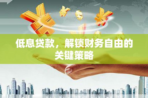盐池低息贷款，解锁财务自由的关键策略