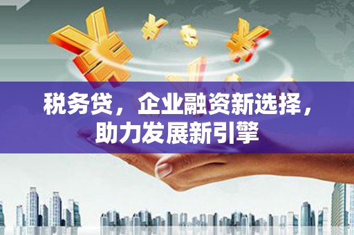 盐池税务贷，企业融资新选择，助力发展新引擎
