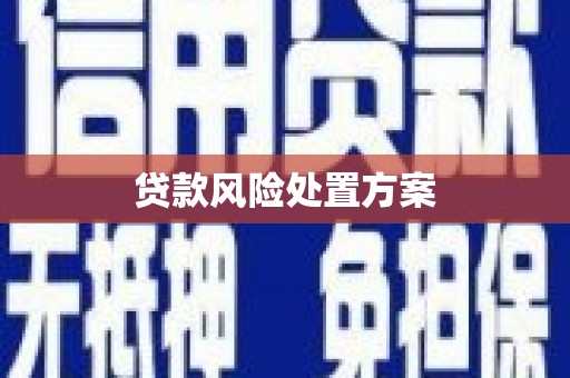 盐池贷款风险处置方案