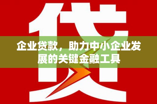 盐池企业贷款，助力中小企业发展的关键金融工具