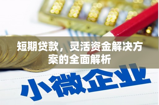 盐池短期贷款，灵活资金解决方案的全面解析