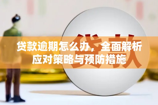 盐池贷款逾期怎么办，全面解析应对策略与预防措施