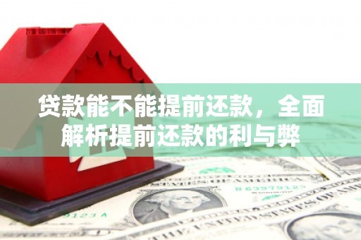 盐池贷款能不能提前还款，全面解析提前还款的利与弊