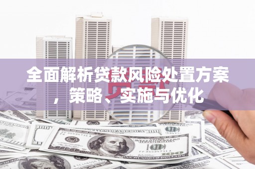 盐池全面解析贷款风险处置方案，策略、实施与优化