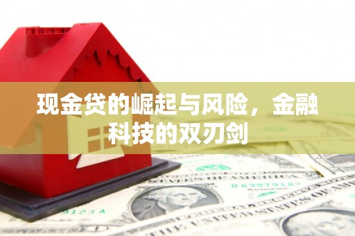 盐池现金贷的崛起与风险，金融科技的双刃剑