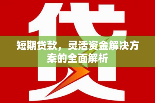 盐池短期贷款，灵活资金解决方案的全面解析