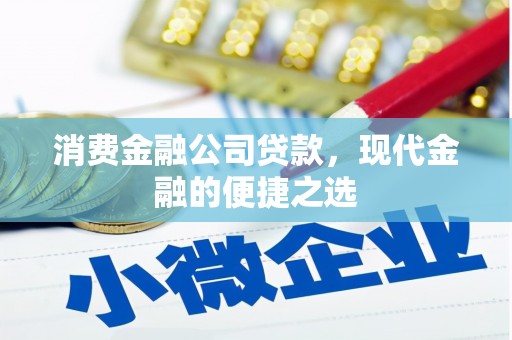盐池消费金融公司贷款，现代金融的便捷之选