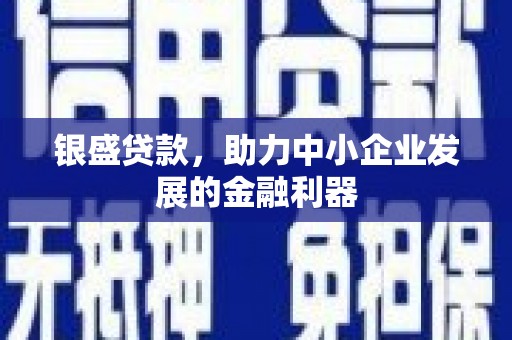 盐池银盛贷款，助力中小企业发展的金融利器