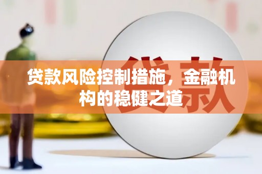 盐池贷款风险控制措施，金融机构的稳健之道