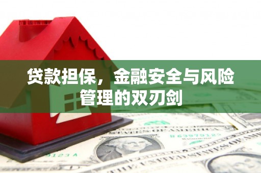 盐池贷款担保，金融安全与风险管理的双刃剑