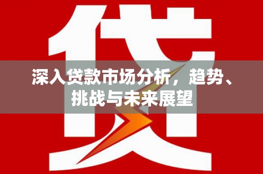 盐池深入贷款市场分析，趋势、挑战与未来展望