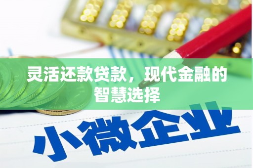 盐池灵活还款贷款，现代金融的智慧选择