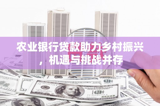 盐池农业银行贷款助力乡村振兴，机遇与挑战并存