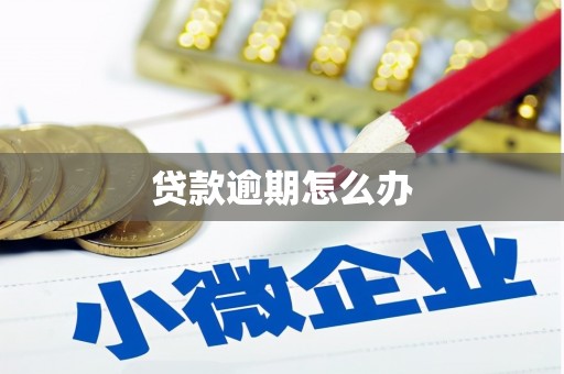 盐池贷款逾期怎么办