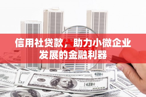 盐池信用社贷款，助力小微企业发展的金融利器