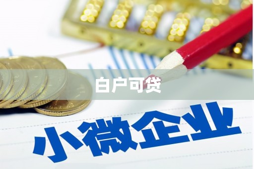 盐池白户可贷