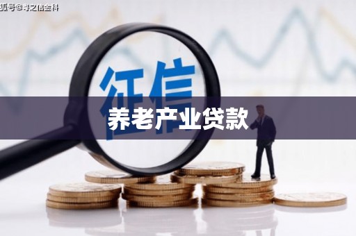 盐池养老产业贷款