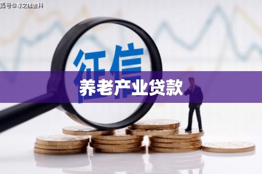 盐池养老产业贷款