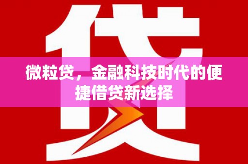 盐池微粒贷，金融科技时代的便捷借贷新选择
