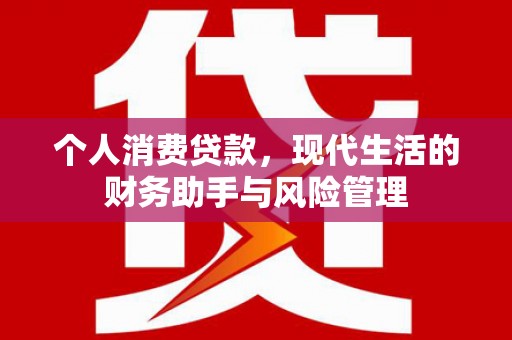 盐池个人消费贷款，现代生活的财务助手与风险管理