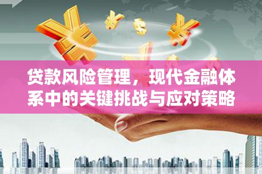盐池贷款风险管理，现代金融体系中的关键挑战与应对策略