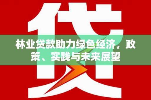 盐池林业贷款助力绿色经济，政策、实践与未来展望