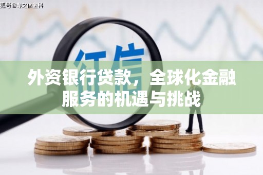 盐池外资银行贷款，全球化金融服务的机遇与挑战