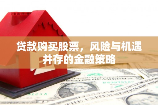 盐池贷款购买股票，风险与机遇并存的金融策略