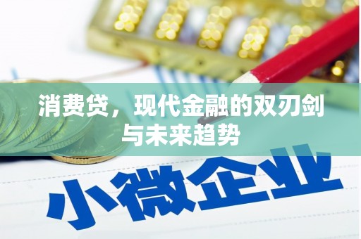 盐池消费贷，现代金融的双刃剑与未来趋势