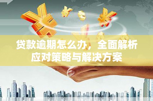 盐池贷款逾期怎么办，全面解析应对策略与解决方案