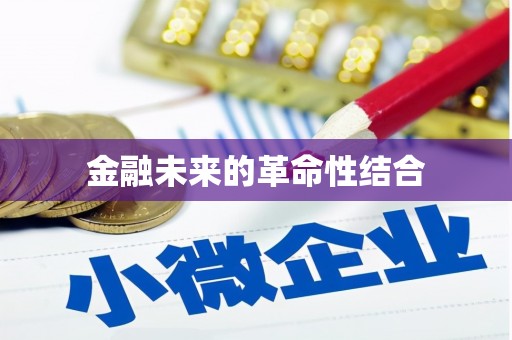 盐池金融未来的革命性结合