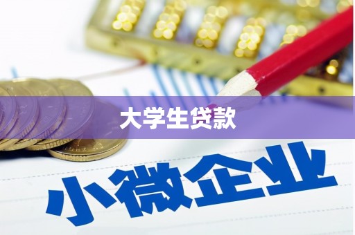 盐池大学生贷款